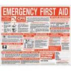First Aid Chart